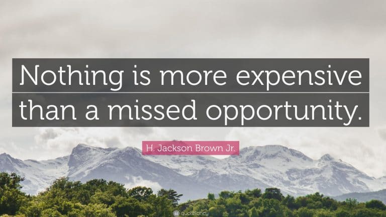 What Opportunities have you missed to grow your business?
